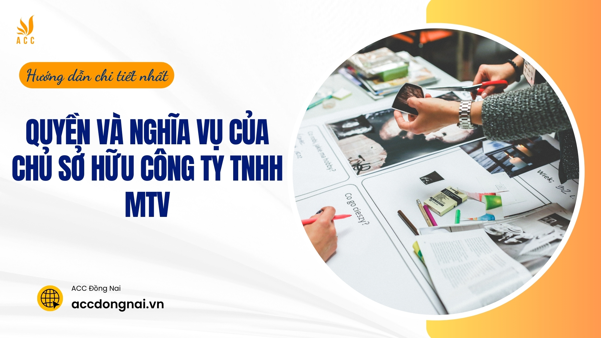 Quyền và nghĩa vụ của chủ sở hữu công ty TNHH MTV