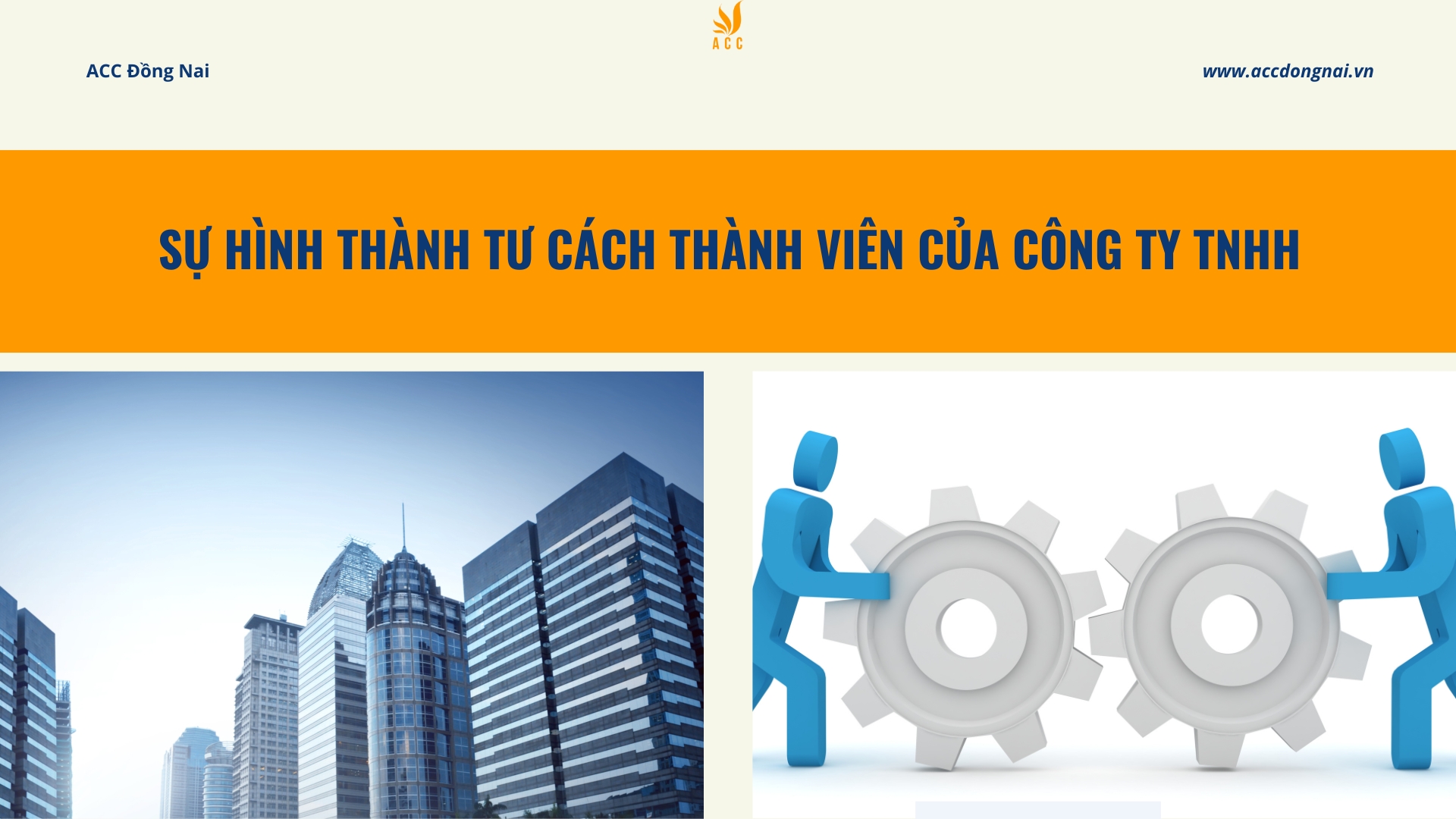 Sự hình thành tư cách thành viên của công TY TNHH