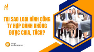 Tại sao loại hình công ty hợp danh không được chia, tách