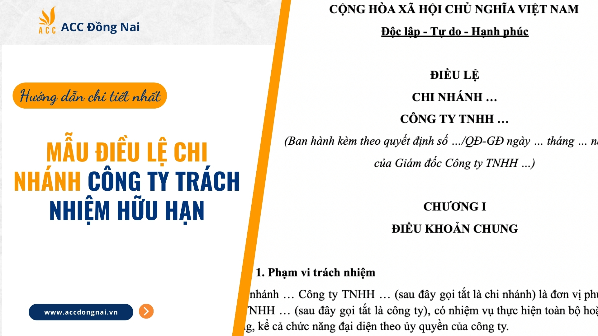 Mẫu điều lệ chi nhánh công ty TNHH