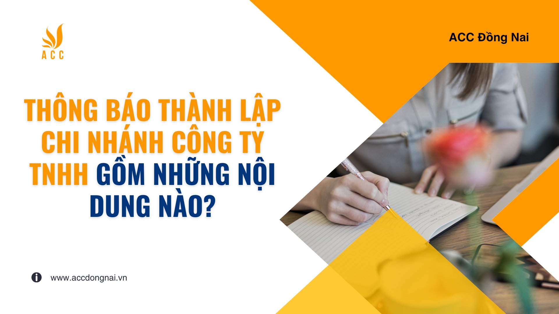 Thông báo thành lập chi nhánh công ty TNHH gồm những nội dung nào?