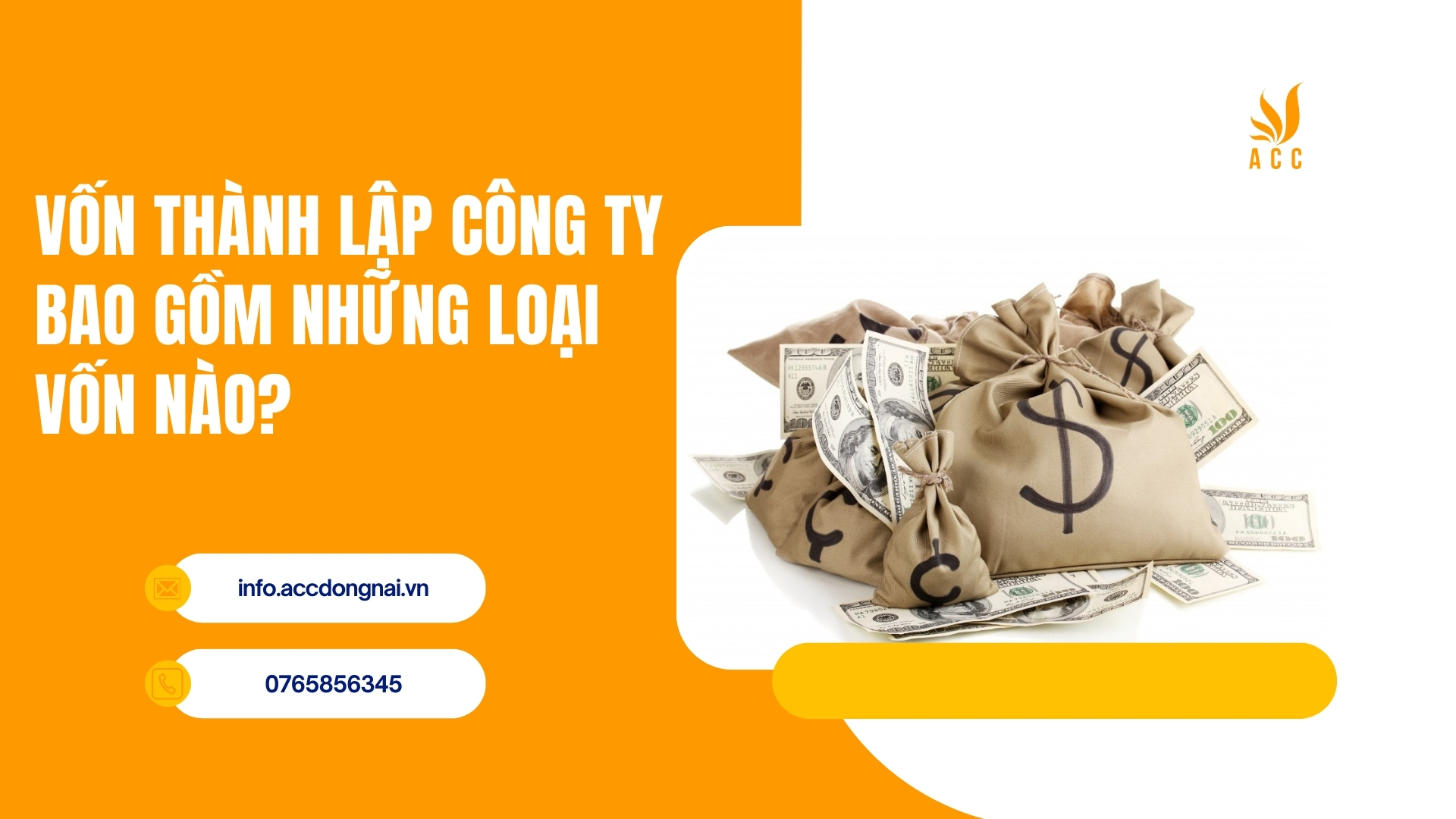 Vốn thành lập công ty bao gồm những loại vốn nào