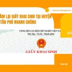 Dịch vụ làm lại giấy khai sinh tại huyện Tân Phú nhanh chóng