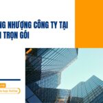 Dịch vụ sang nhượng công ty tại Long Thành trọn gói