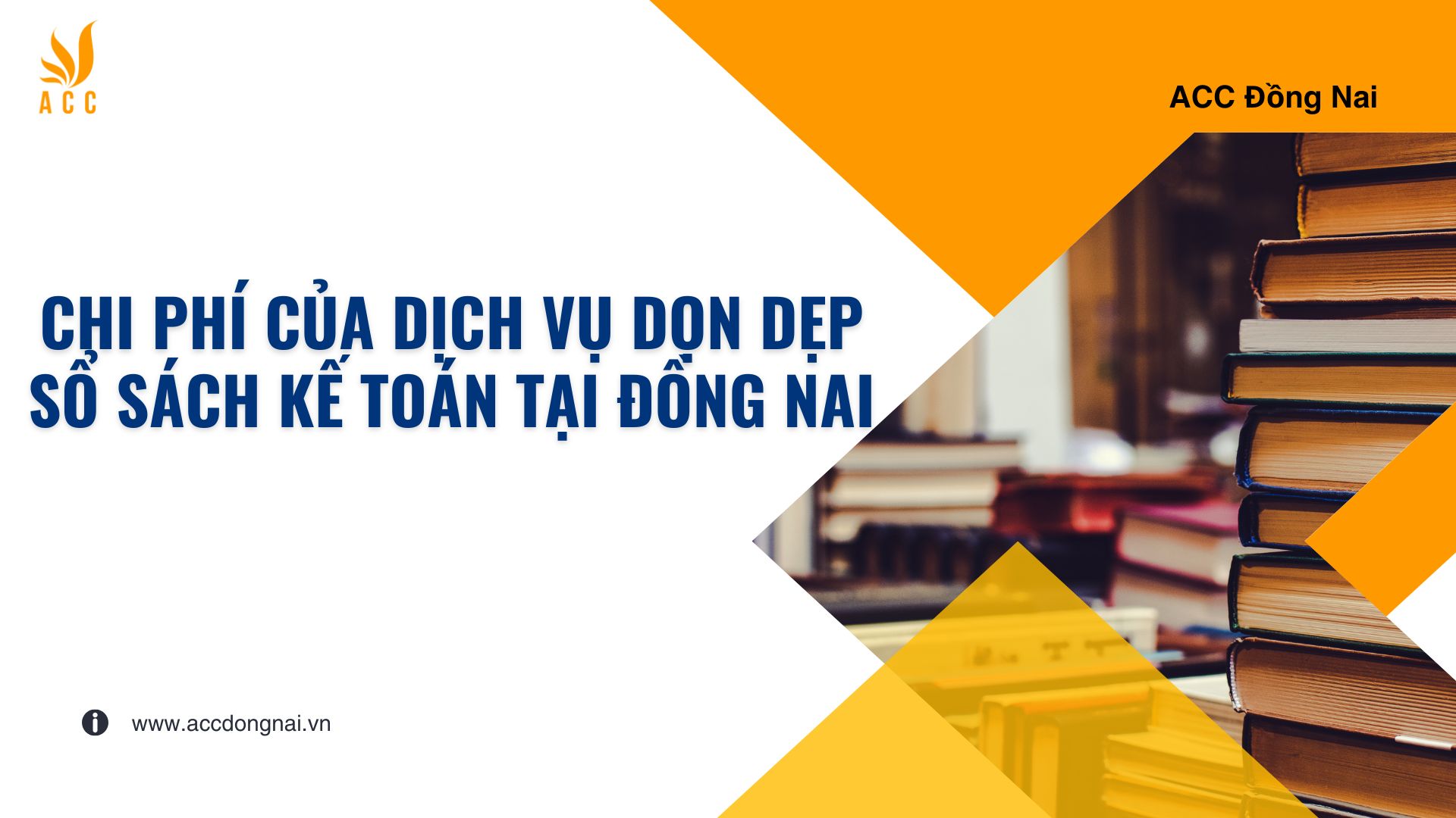 Chi phí của dịch vụ dọn dẹp sổ sách kế toán tại Đồng Nai