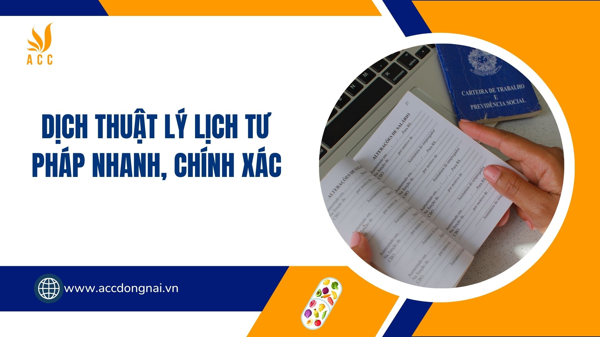 Dịch thuật lý lịch tư pháp nhanh, chính xác