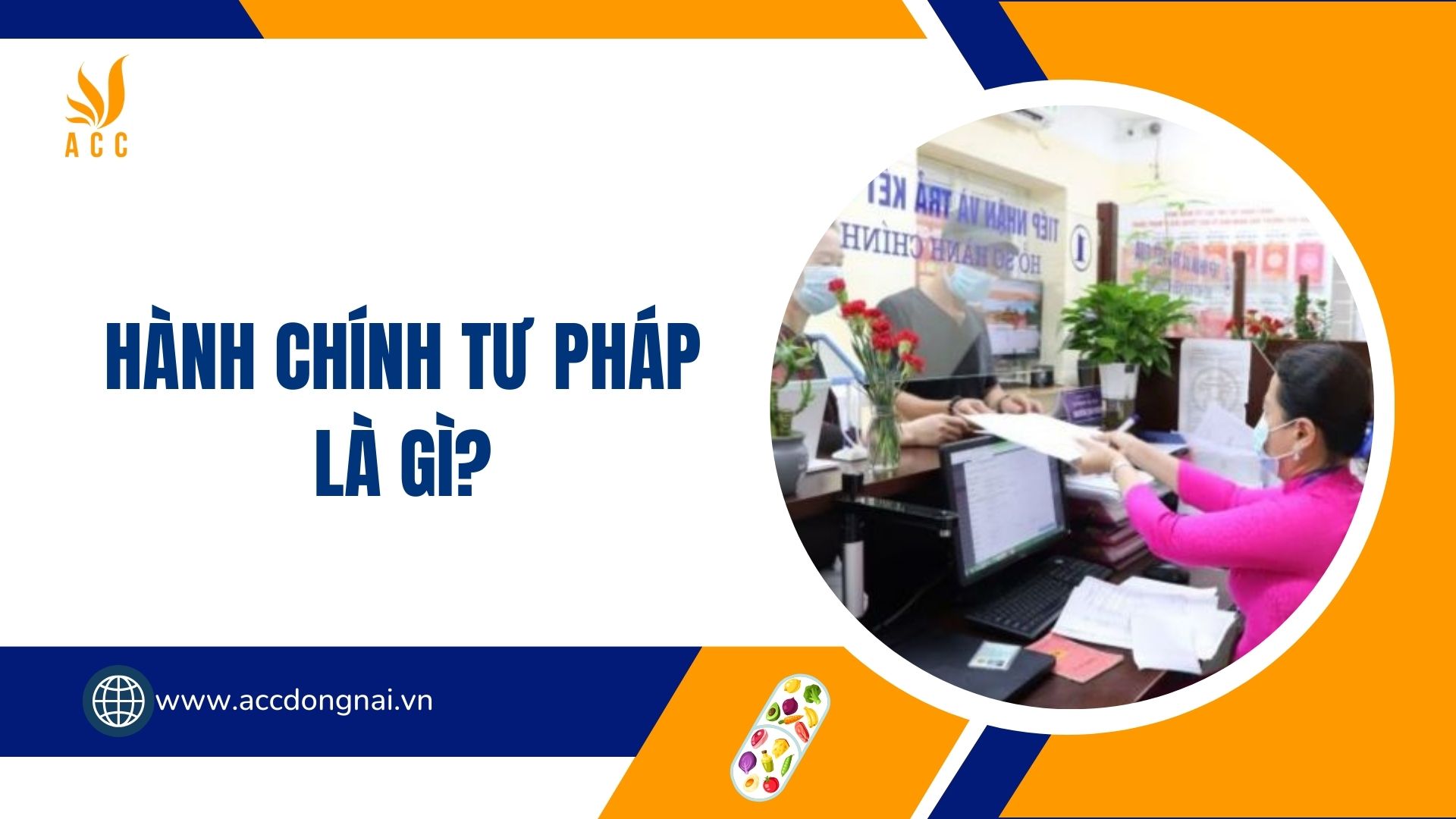 Hành chính tư pháp là gì