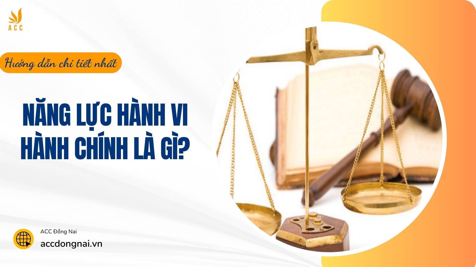 Năng lực hành vi hành chính là gì