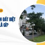 Quy hoạch đất biệt thự là gì