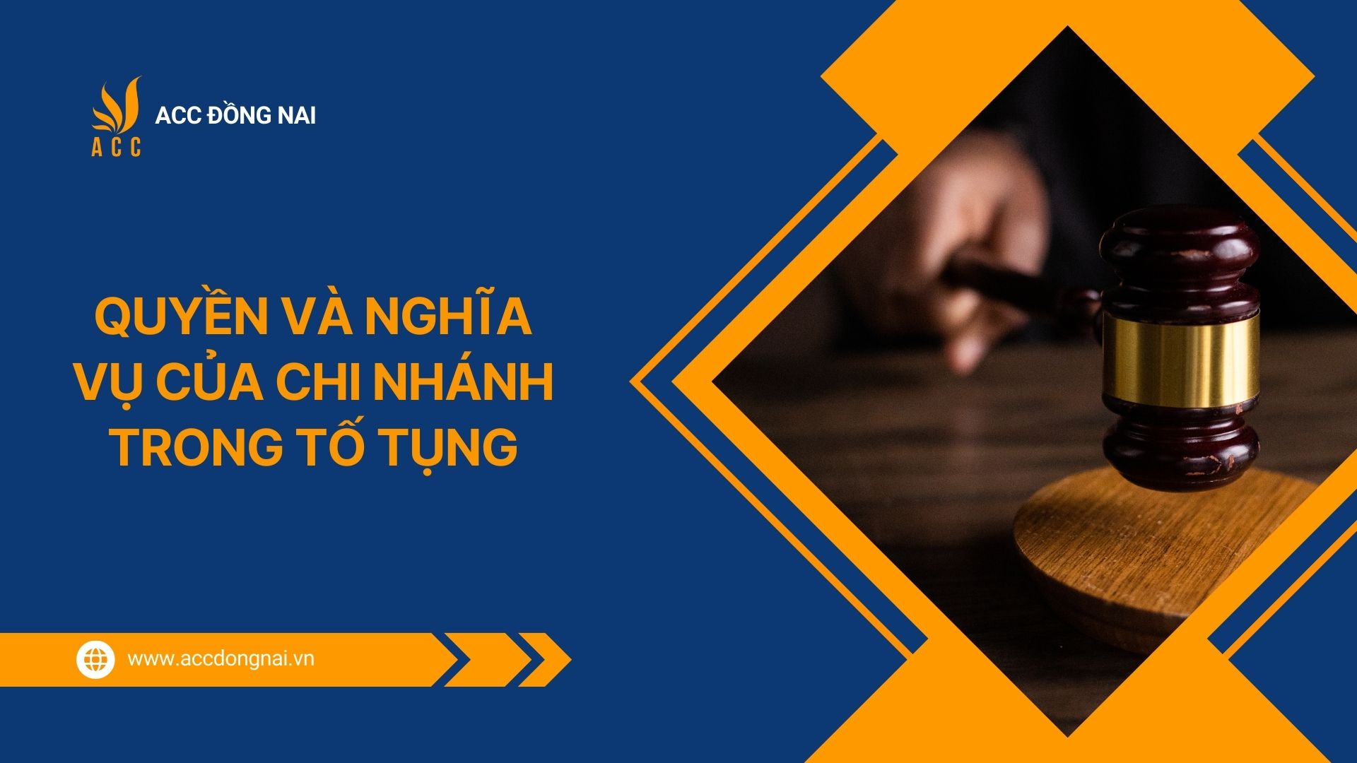 Quyền và nghĩa vụ của chi nhánh trong tố tụng