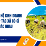 So sánh hộ kinh doanh và hợp tác xã có gì khác nhau