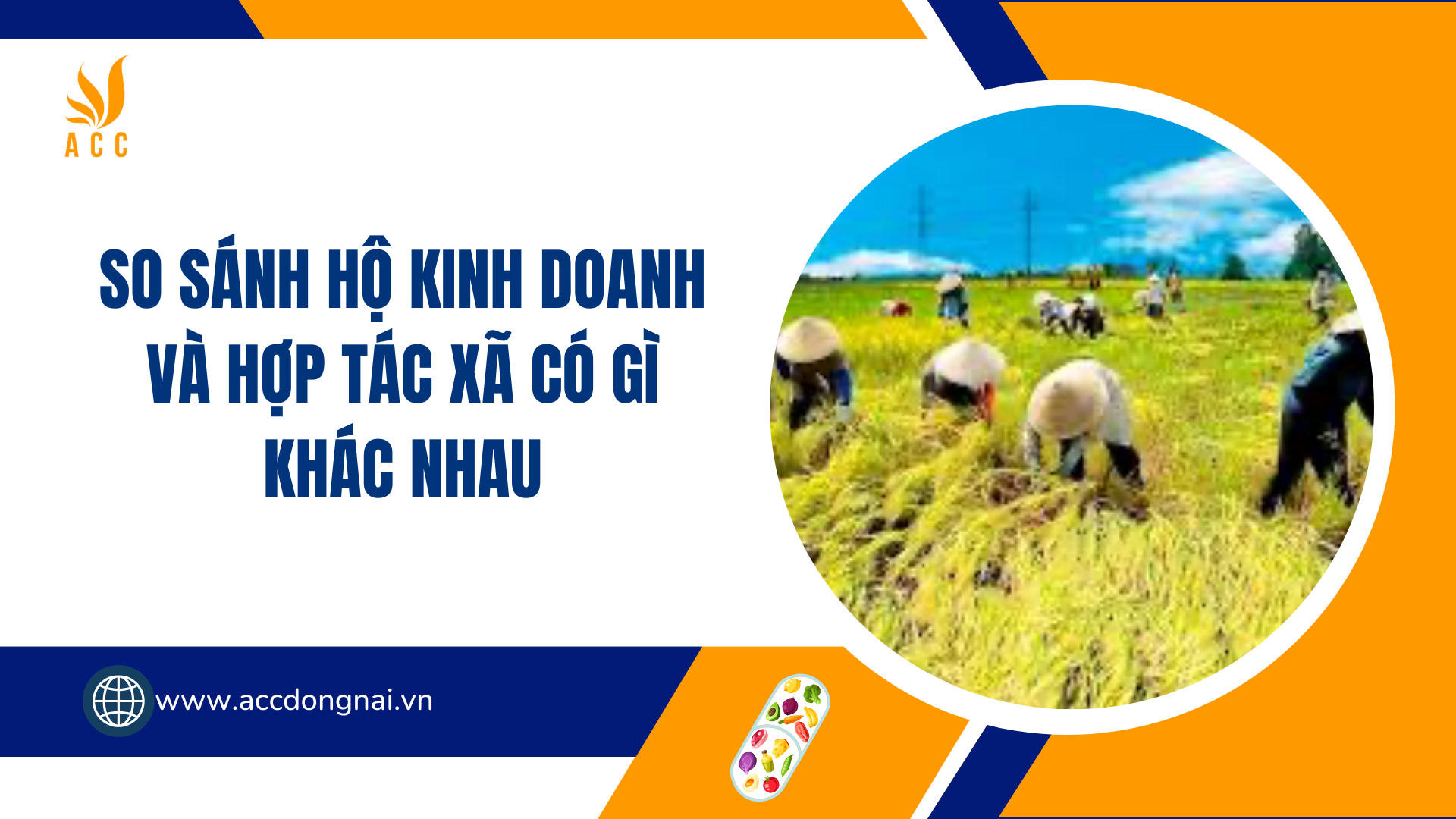 So sánh hộ kinh doanh và hợp tác xã có gì khác nhau