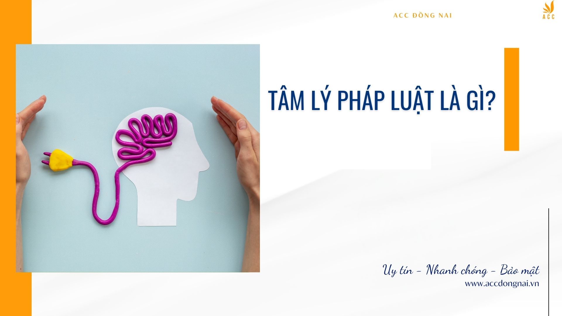 Tâm lý pháp luật là gì