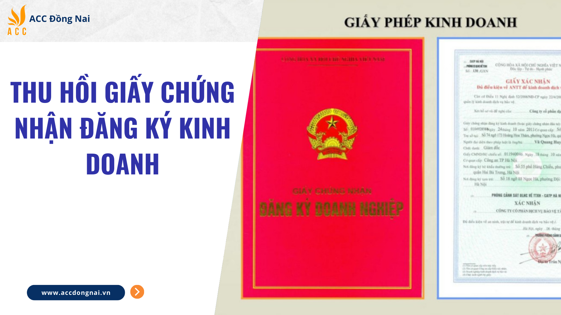 Thu hồi giấy chứng nhận đăng ký kinh doanh