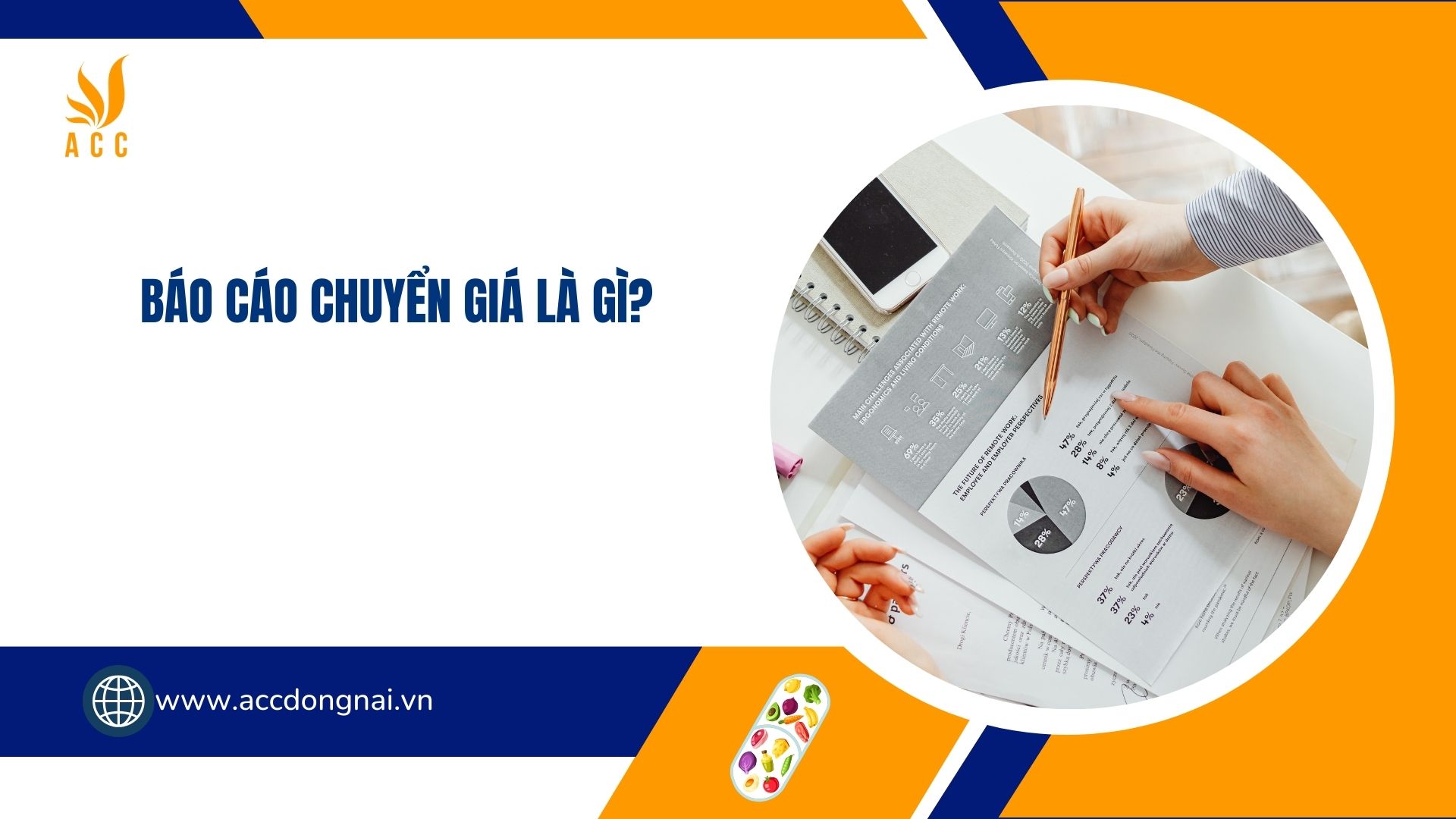 Báo cáo chuyển giá là gì