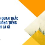 Báo cáo quan trắc môi trường tiếng anh là gì