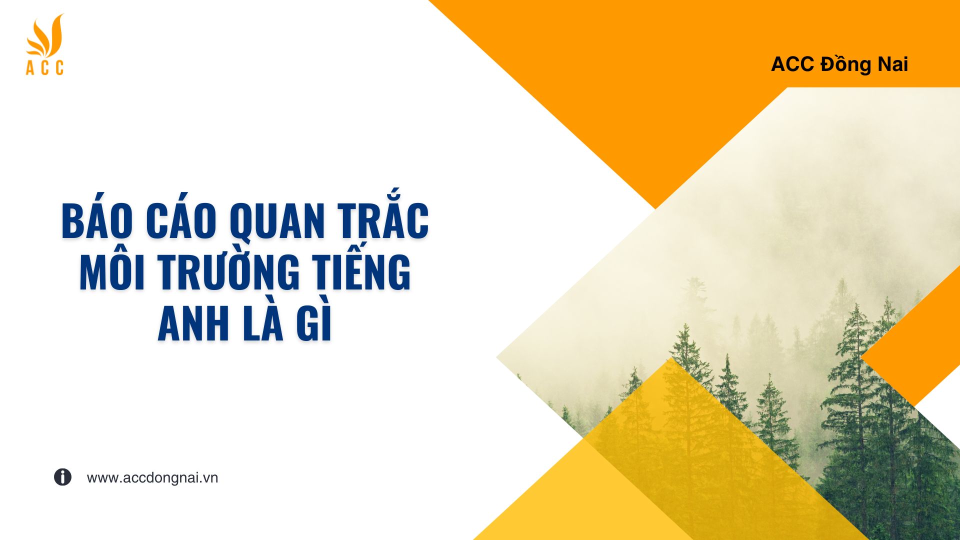 Báo cáo quan trắc môi trường tiếng anh là gì