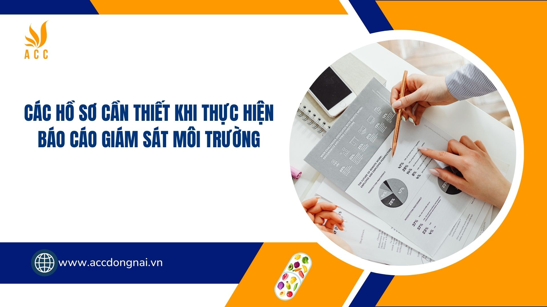 Các Hồ Sơ Cần Thiết Khi Thực Hiện Báo Cáo Giám Sát Môi Trường