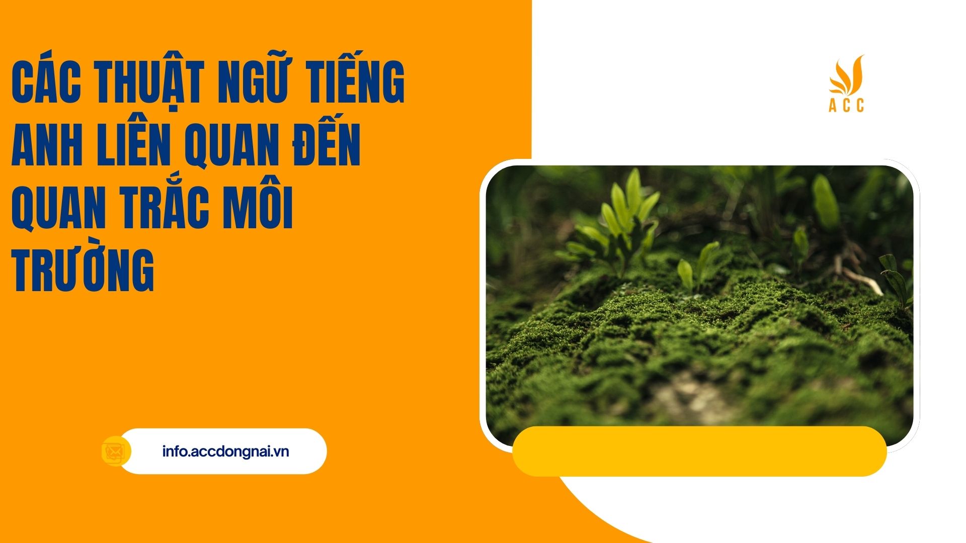 Các Thuật Ngữ Tiếng Anh Liên Quan Đến Quan Trắc Môi Trường