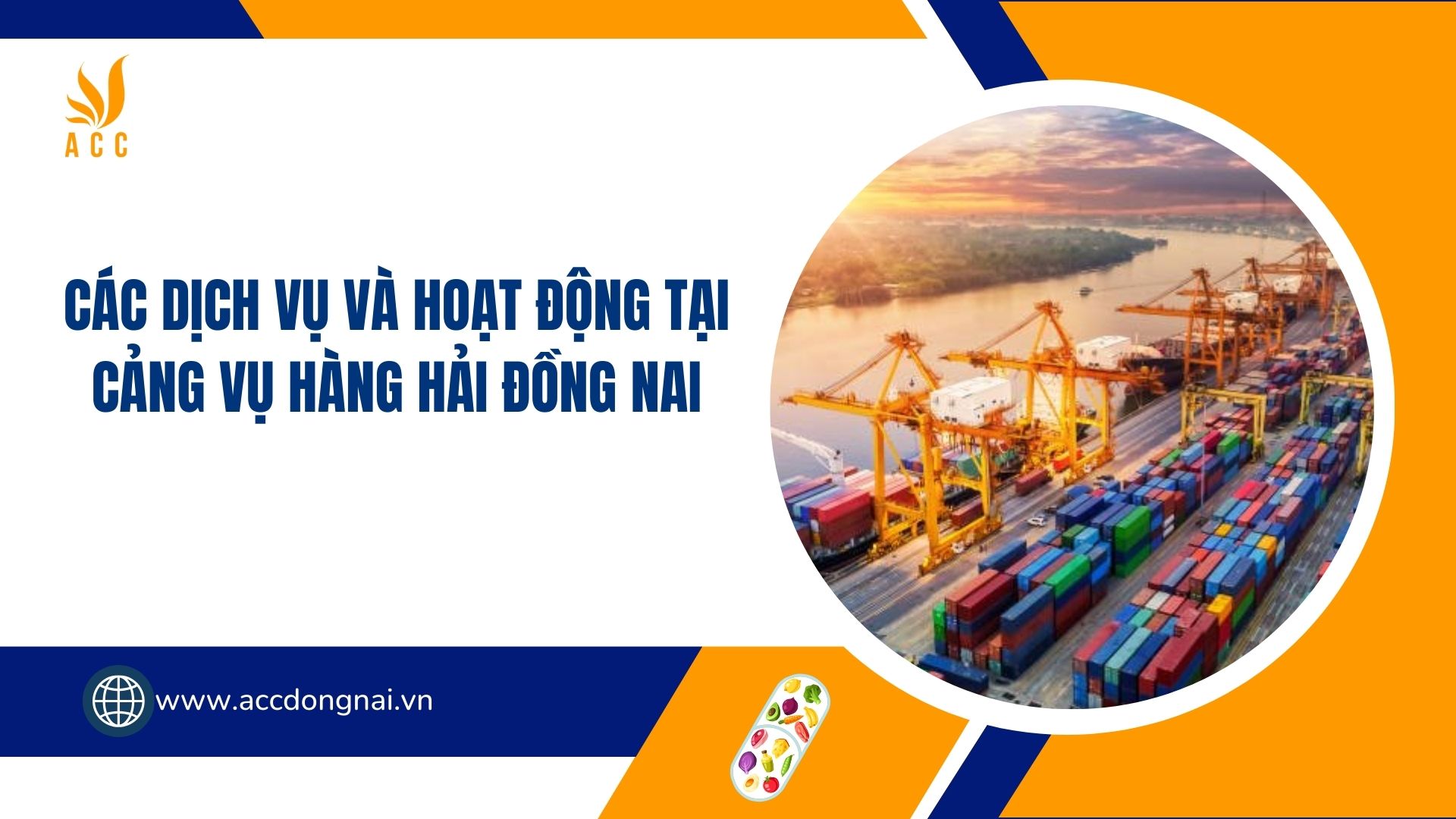 Các dịch vụ và hoạt động tại Cảng vụ Hàng hải Đồng Nai