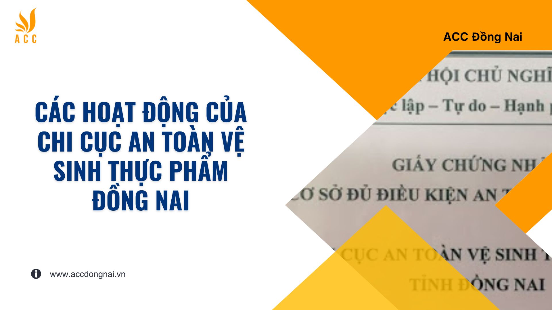 Các hoạt động của Chi cục An toàn vệ sinh thực phẩm Đồng Nai