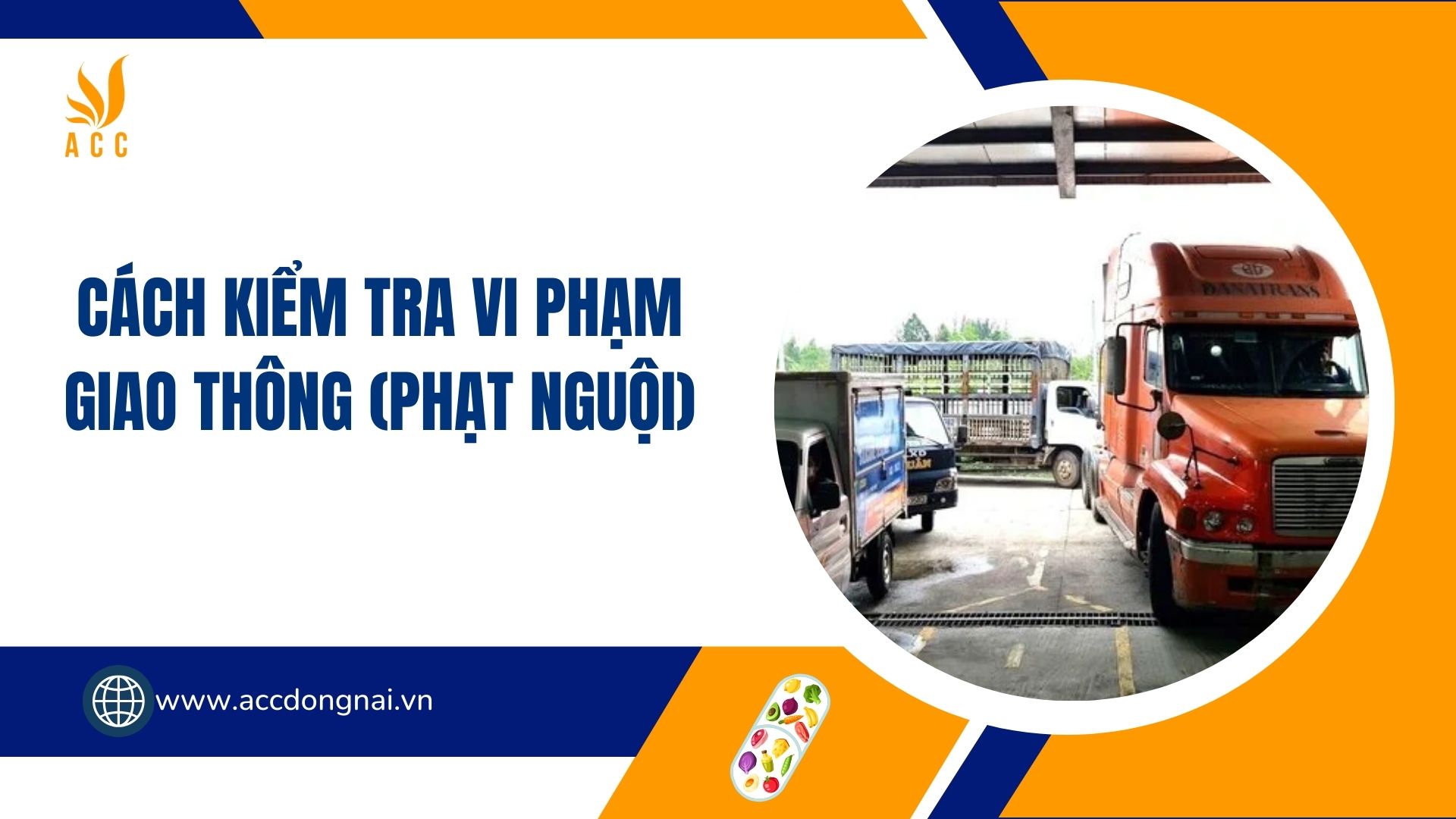 Cách kiểm tra vi phạm giao thông (phạt nguội)