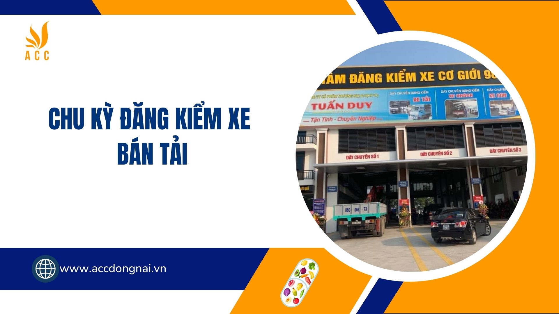 Chu kỳ đăng kiểm xe bán tải