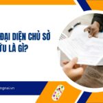 Cơ quan đại diện chủ sở hữu là gì