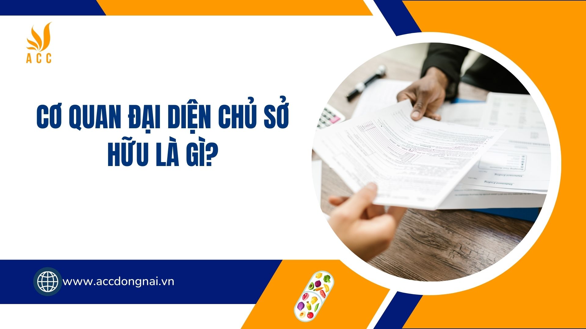 Cơ quan đại diện chủ sở hữu là gì