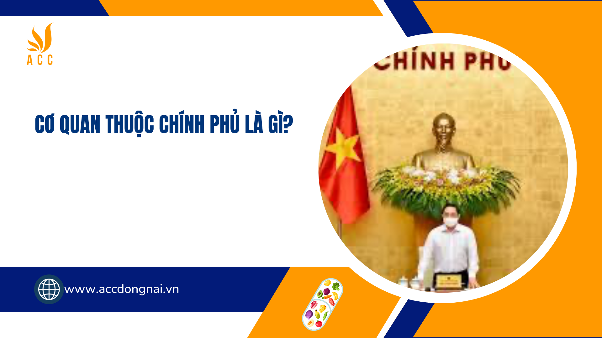 Cơ quan thuộc Chính phủ là gì