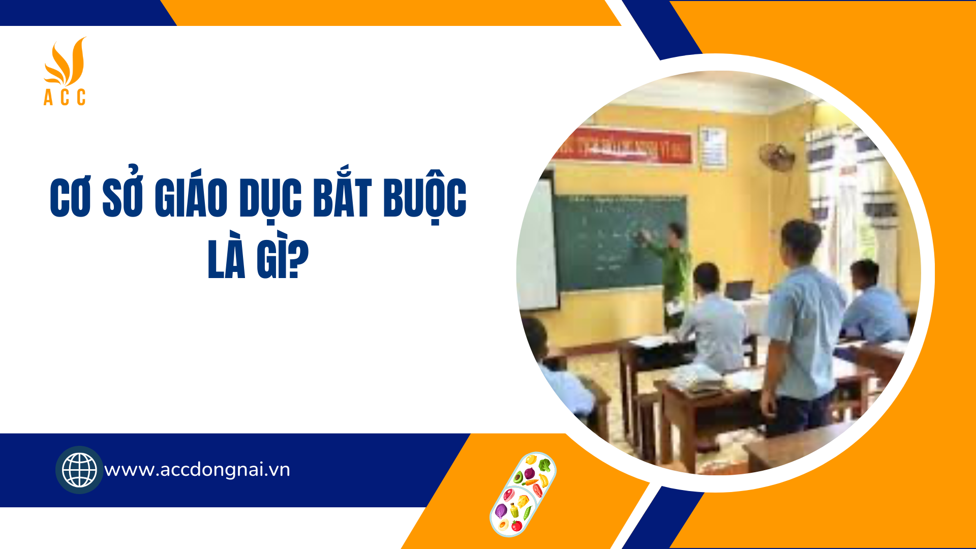 Cơ sở giáo dục bắt buộc là gì