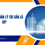 Công ty quản lý tài sản là gì