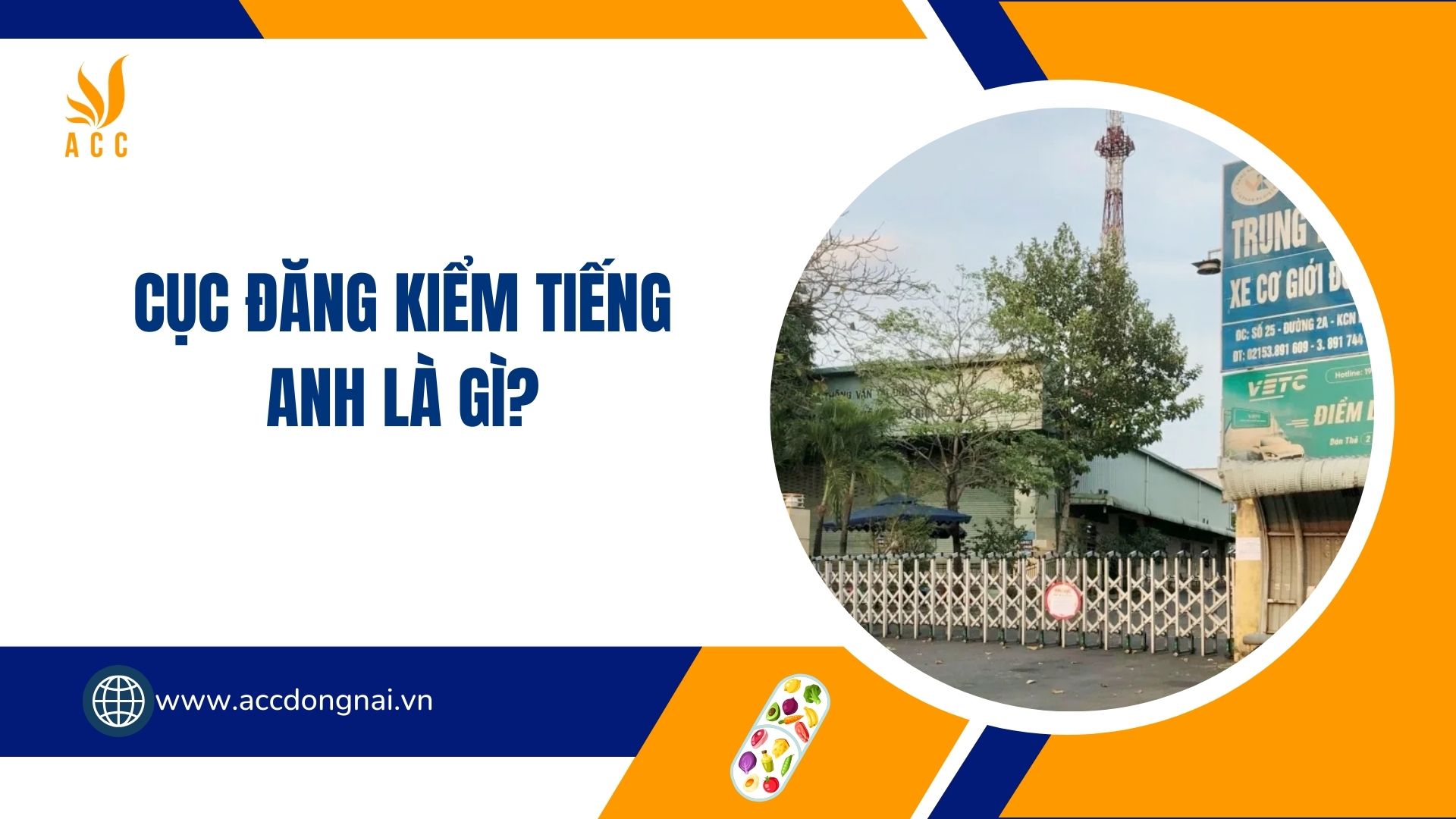 Cục đăng kiểm tiếng Anh là gì