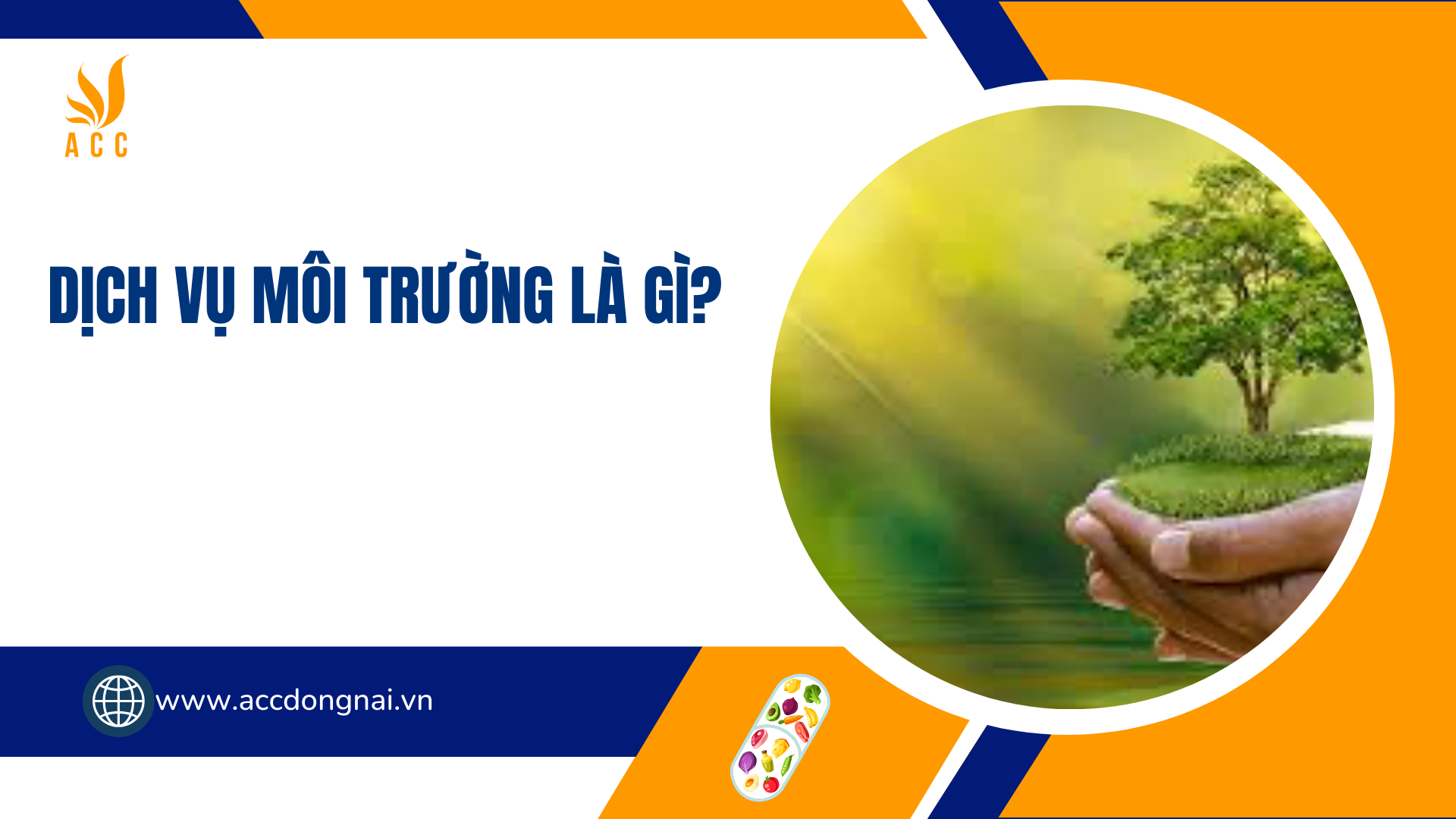 Dịch vụ môi trường là gì