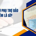 Dịch vụ phụ trợ bảo hiểm là gì?