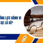 Hạn chế năng lực hành vi dân sự là gì