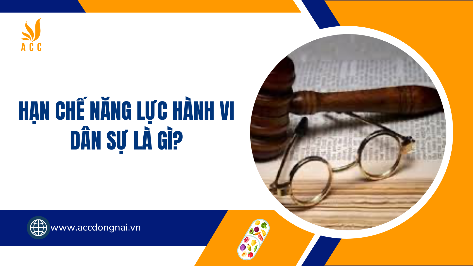 Hạn chế năng lực hành vi dân sự là gì