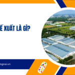 Khu chế xuất là gì