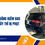 Quá hạn đăng kiểm bao nhiêu ngày thì bị phạt