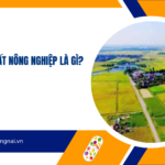 Quy hoạch đất nông nghiệp là gì