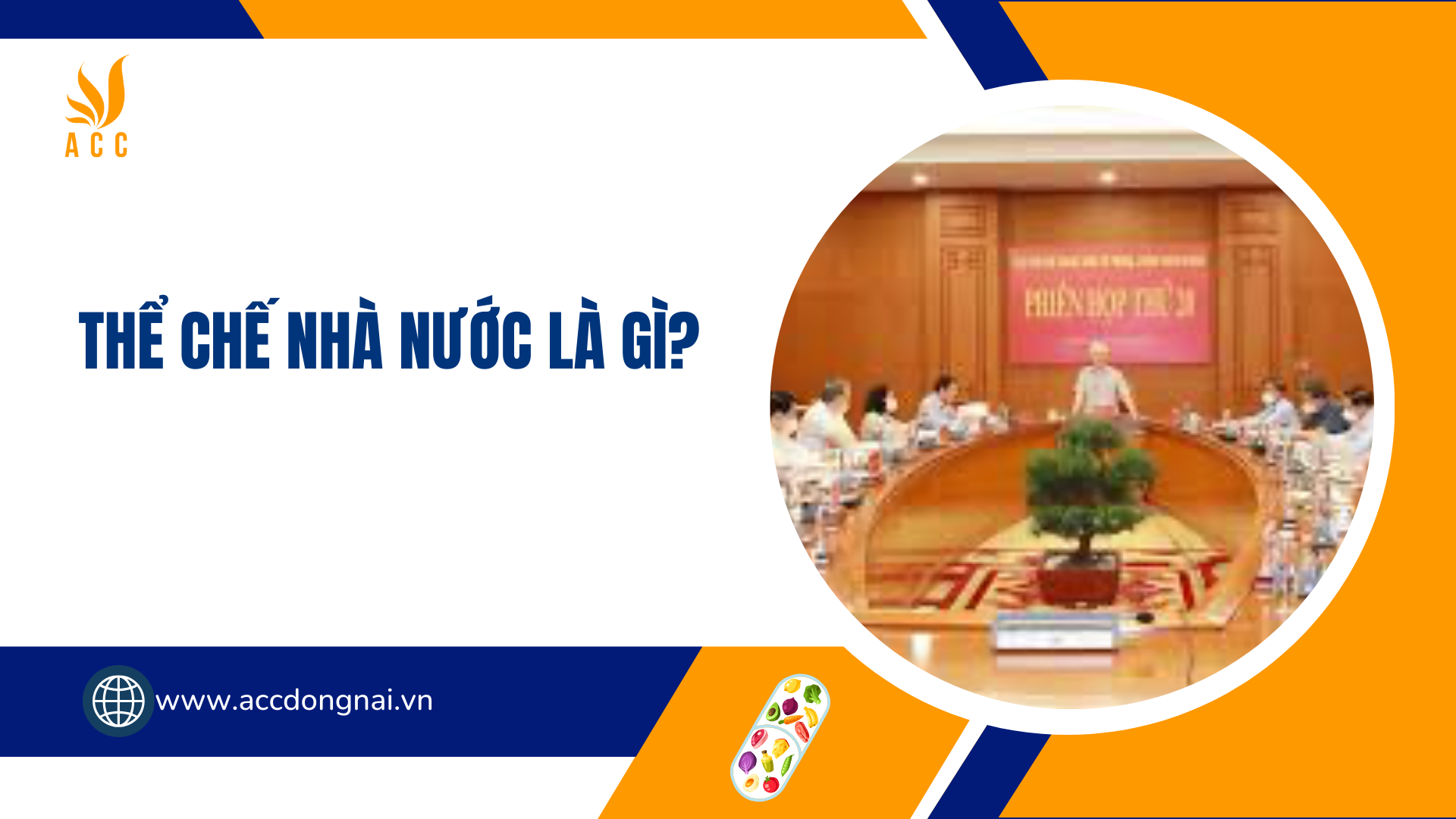 Thể chế nhà nước là gì