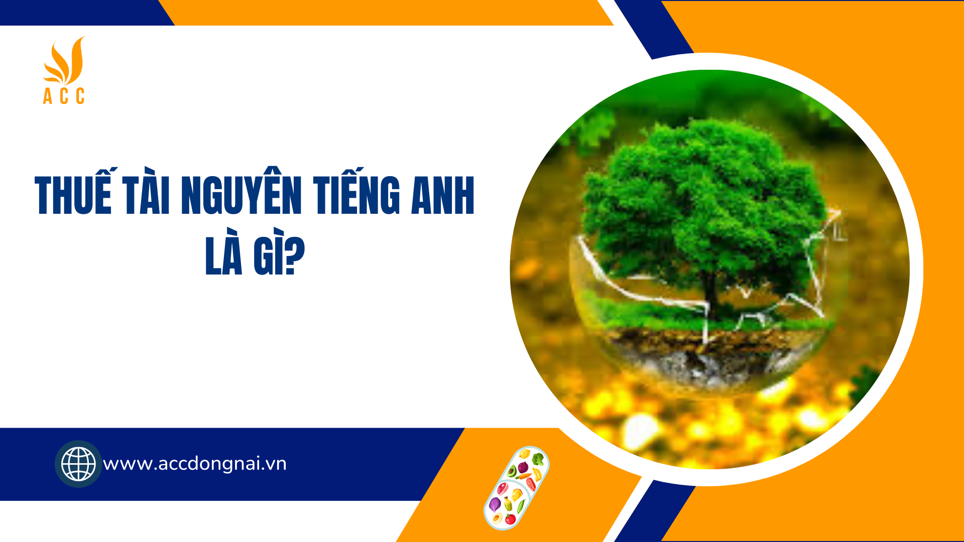 Thuế tài nguyên tiếng Anh là gì