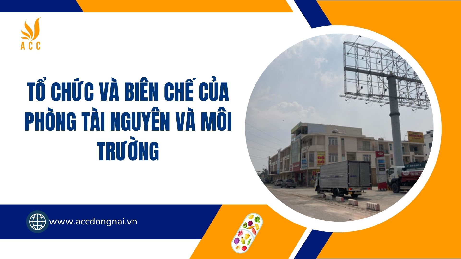 Tổ Chức và Biên Chế của Phòng Tài Nguyên và Môi Trường