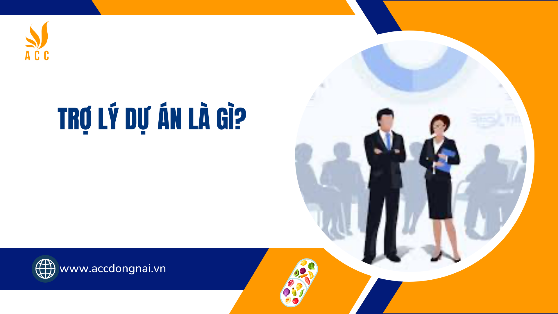 Trợ lý dự án là gì