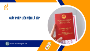 Giấy phép liên vận là gì