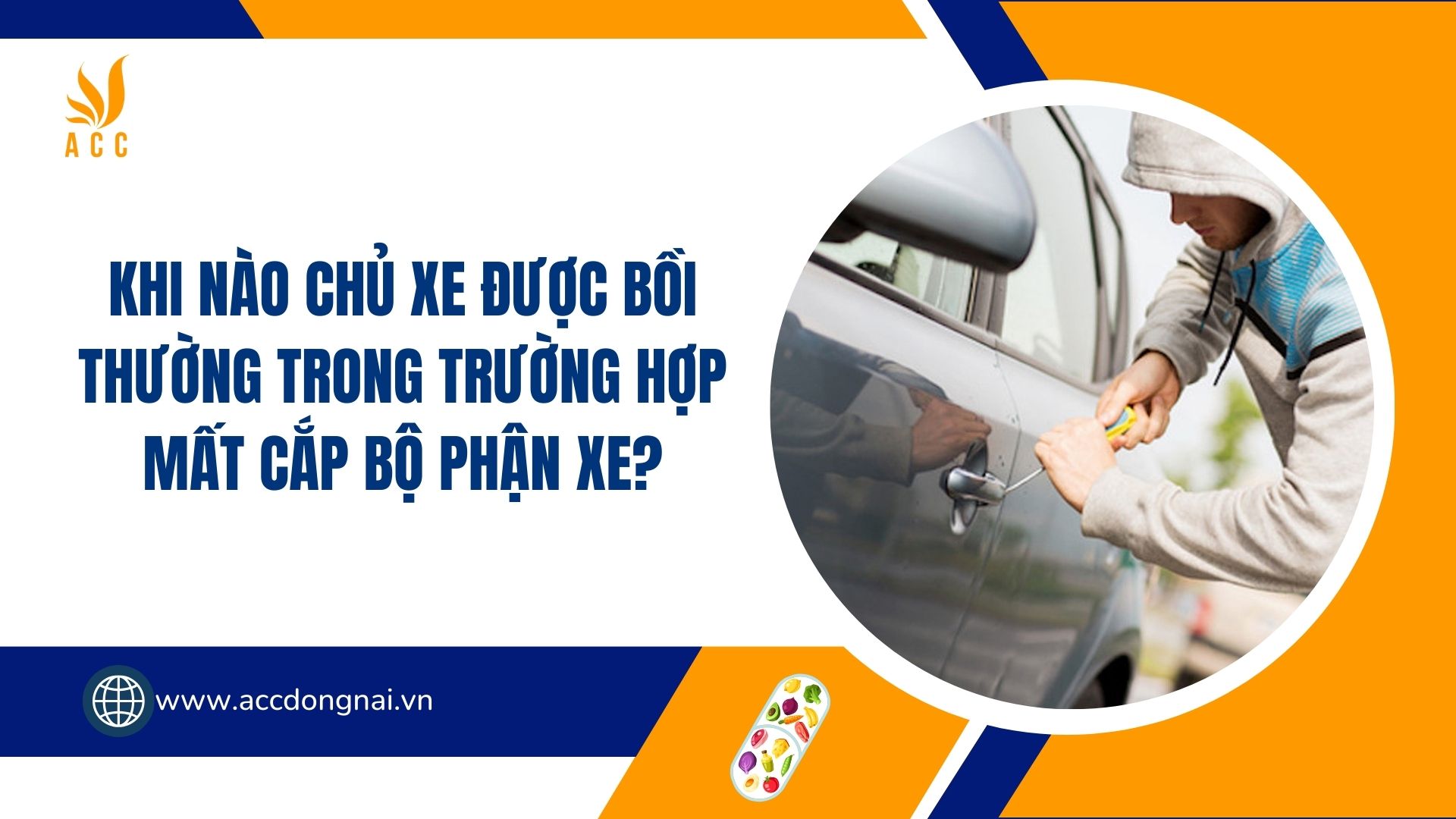 Khi nào chủ xe được bồi thường trong trường hợp mất cắp bộ phận xe