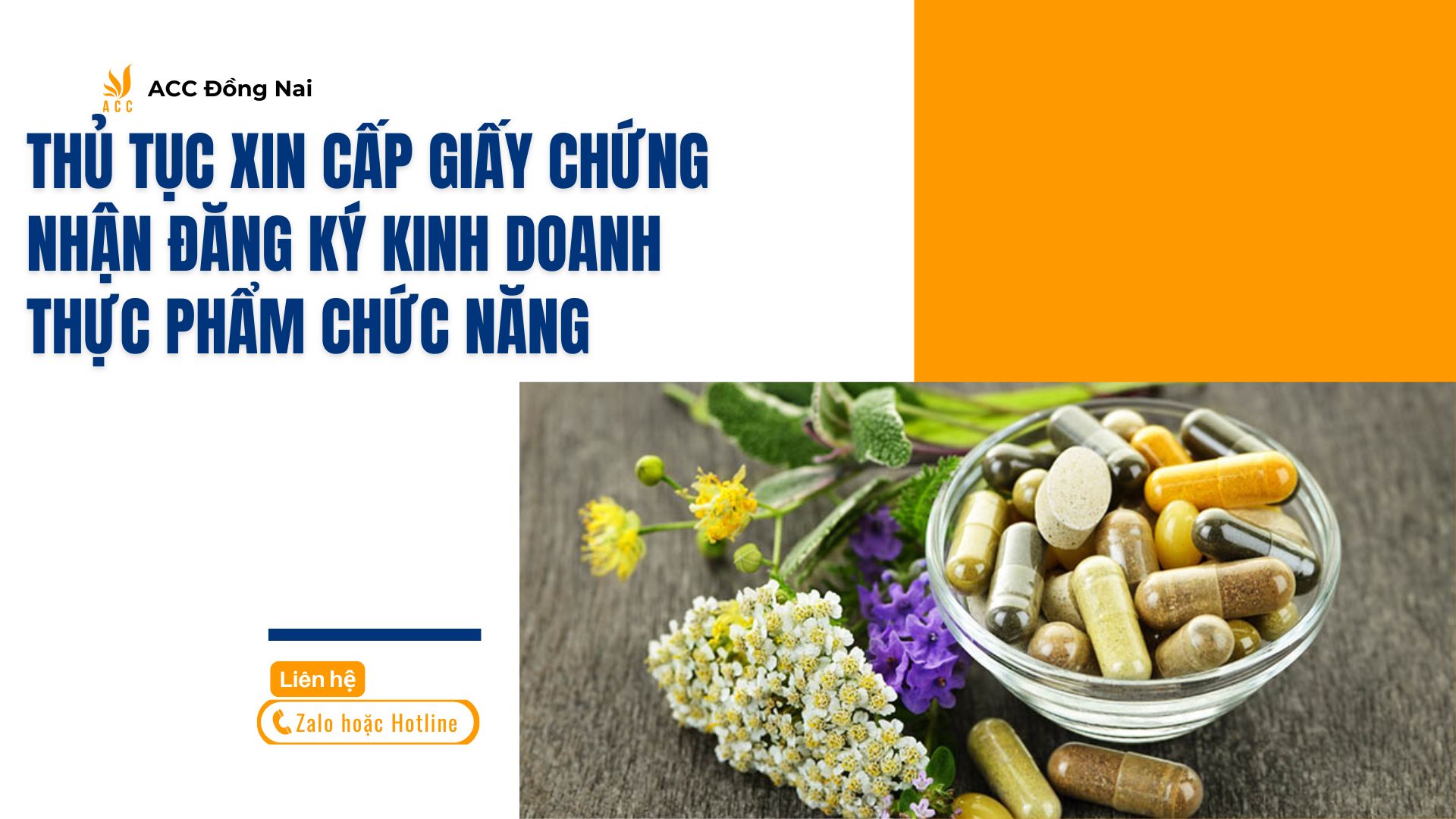 Thủ Tục Xin Cấp Giấy Chứng Nhận Đăng Ký Kinh Doanh Thực Phẩm Chức Năng