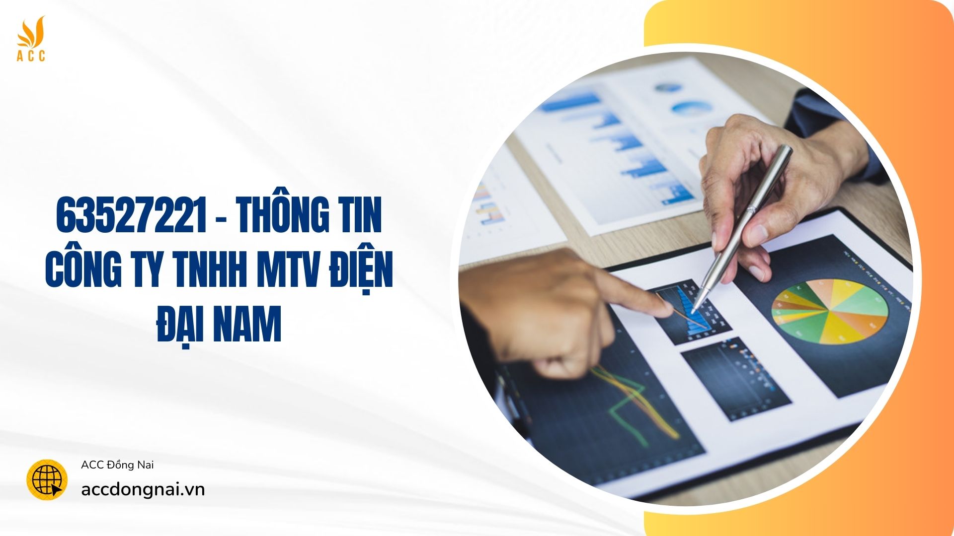 công ty tnhh mtv điện đại nam