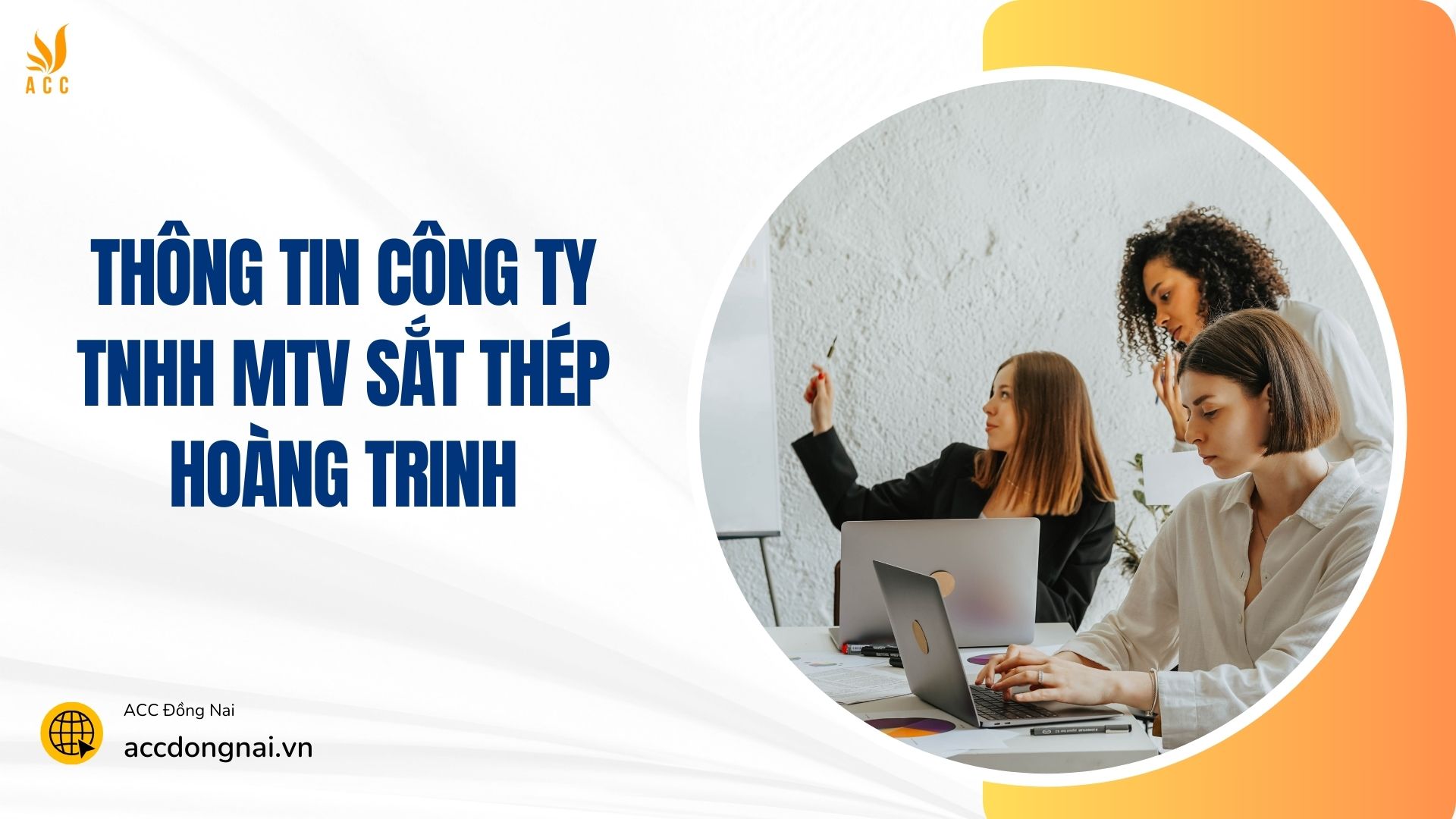 công ty tnhh mtv sắt thép hoàng trinh