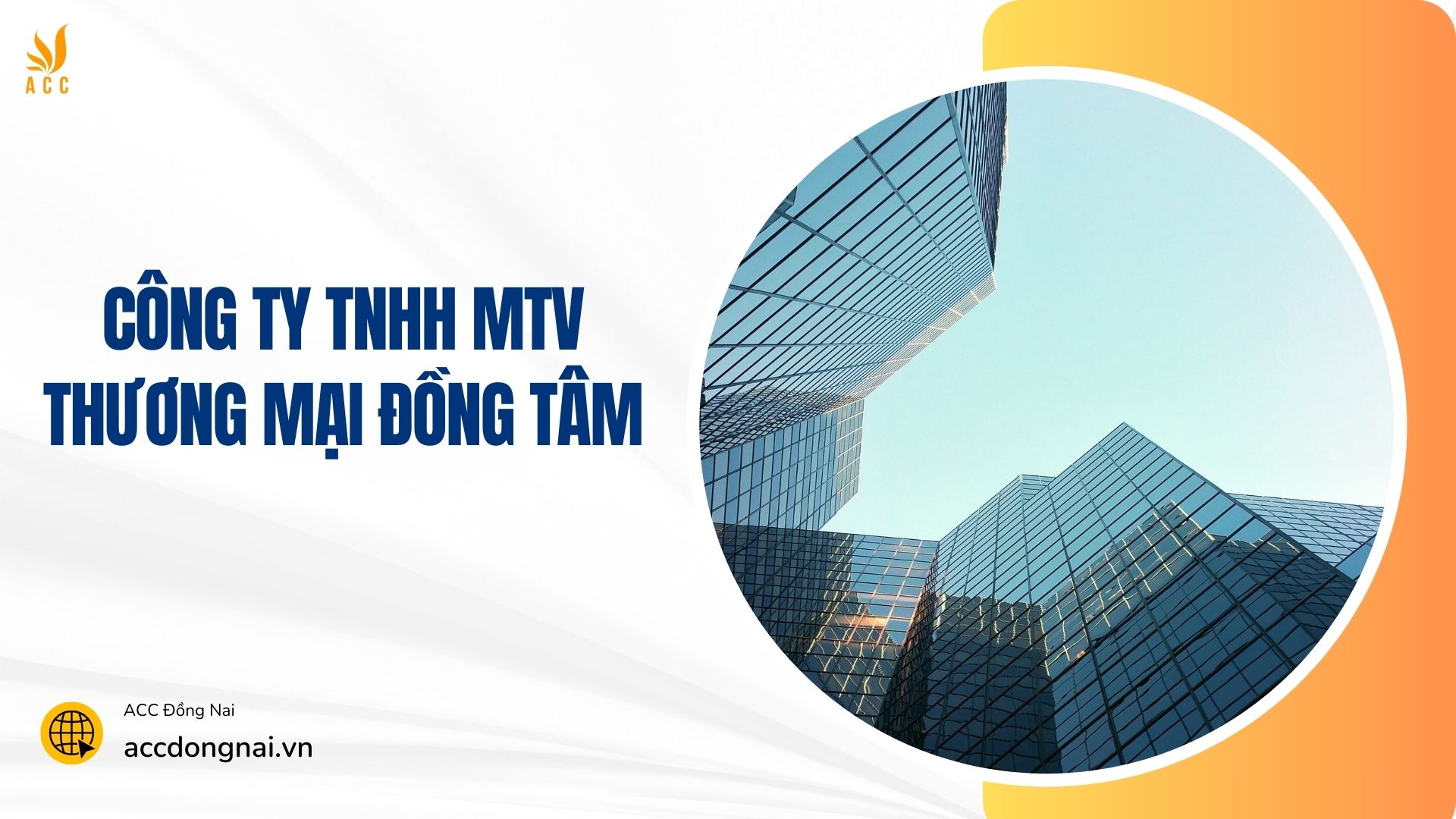 công ty tnhh mtv thương mại đồng tâm